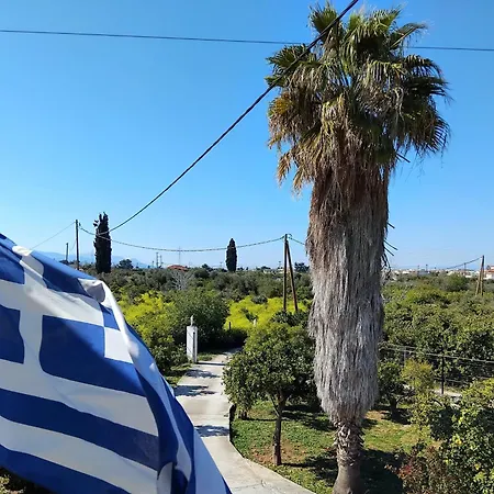 Jimmy's Garden Апартаменты