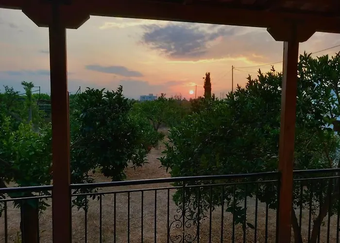 Jimmy's Garden Corinth